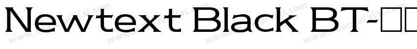 Newtext Black BT字体转换